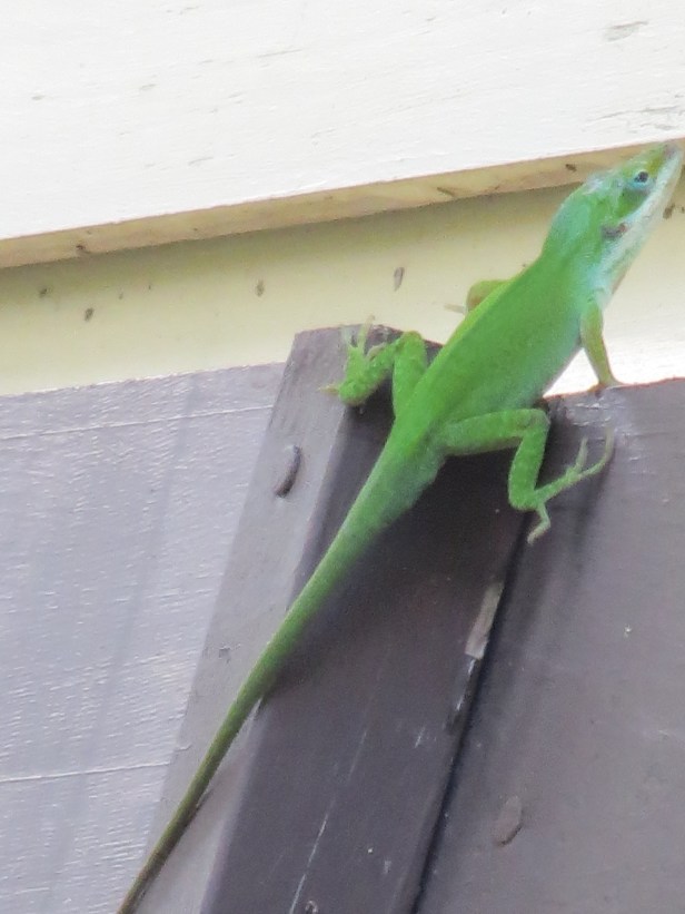 Let Me Encourage You