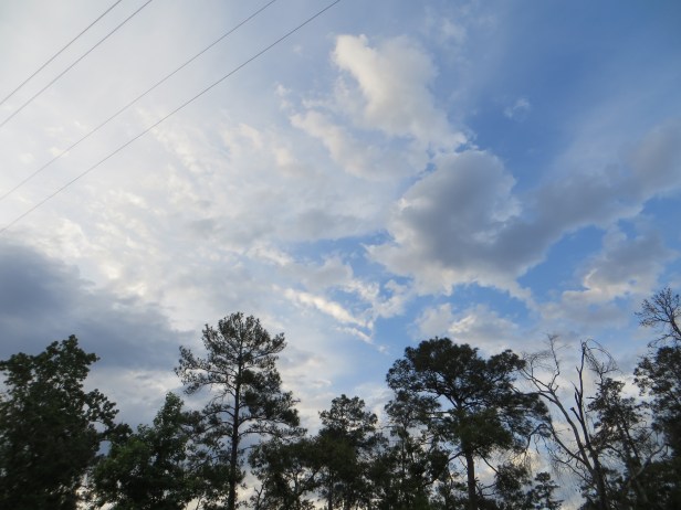 Dear Blessed Lord Jesus