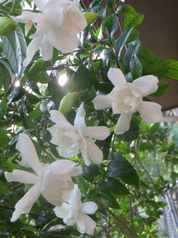 Ask Your Child To Give You A Parenting Report Card