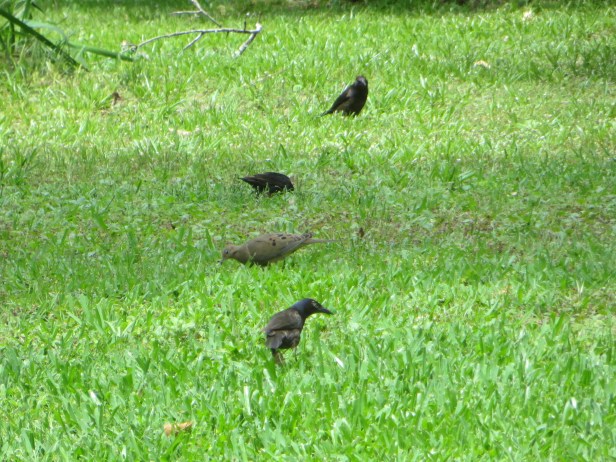 God Calls Us His Children