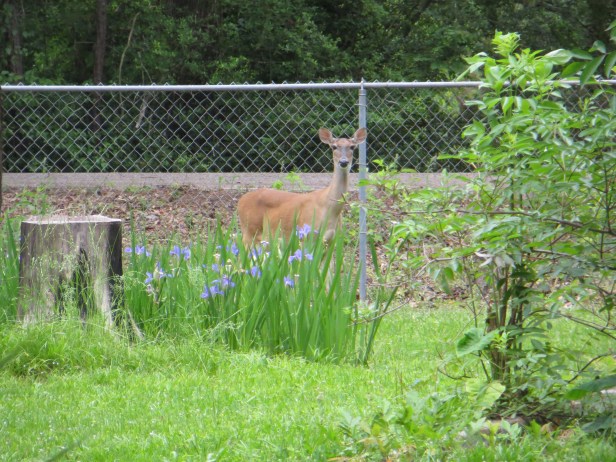 God Performs The Impossible