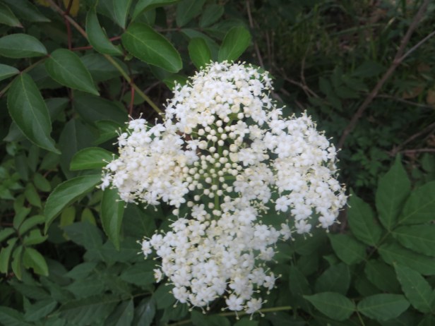 Wonderful Thoughts About A Great God