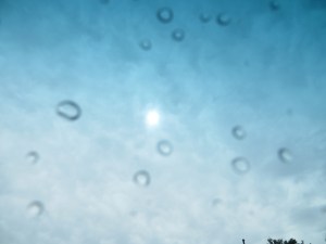 Photo Artist Susan Robertson (9)