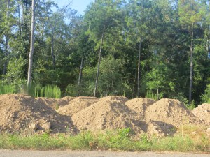 Photo Artist Susan Robertson (1)