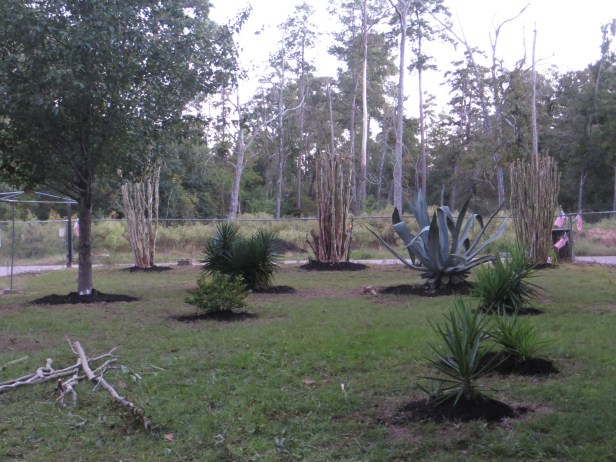 My Husband Together We Rock