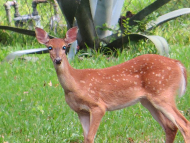 Freedom To Visit You