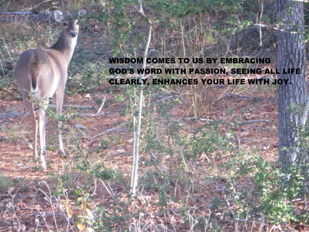 HAVE A BEAUTIFUL DAY