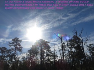 Photo Artist Susan Robertson (5)