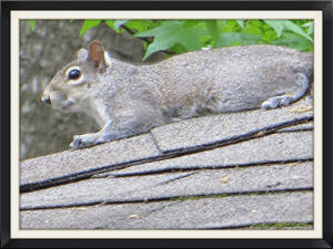 3782c24439a4476d9a71033b18a3e780