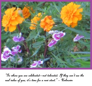 ©  Photo Artist Susan Ruth  Robertson 010