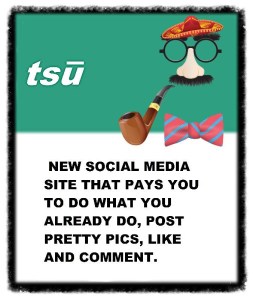 https://www.tsu.co/FineSwitch