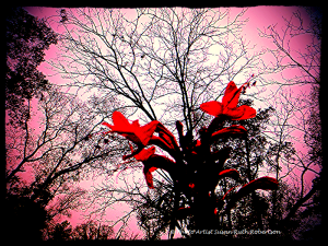 4a0f67ed691a48a9a1c3f1ef057f1dd8