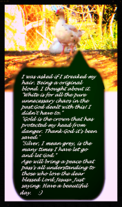 77911537fd1c49879f3244121b193a38