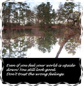 © Photo Artist Susan Ruth Robertson 001 - Copy