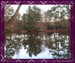 © Photo Artist Susan Ruth Robertson 001
