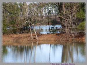 © Photo Artist Susan Ruth Robertson 001