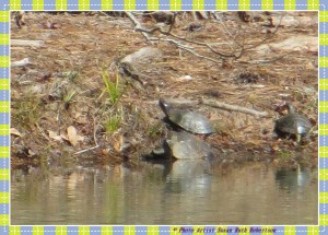 © Photo Artist Susan Ruth Robertson 002