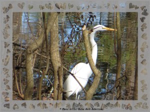 © Photo Artist Susan Ruth Robertson 005