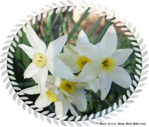 © Photo Artist Susan Ruth Robertson 005