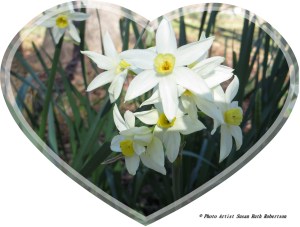 © Photo Artist Susan Ruth Robertson 006