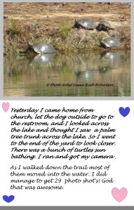 © Photo Artist Susan Ruth Robertson 007