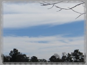 © Photo Artist Susan Ruth Robertson 007