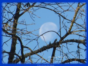 © Photo Artist Susan Ruth Robertson 008