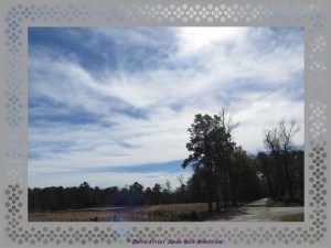 © Photo Artist Susan Ruth Robertson 008