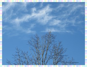 © Photo Artist Susan Ruth Robertson 009