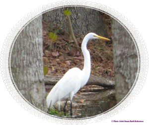 © Photo Artist Susan Ruth Robertson 009