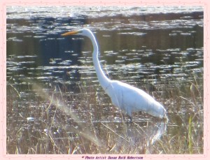 © Photo Artist Susan Ruth Robertson 009