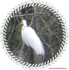 © Photo Artist Susan Ruth Robertson 012