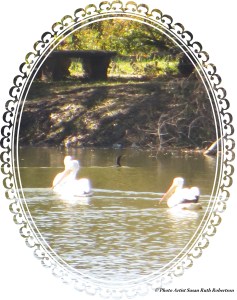 © Photo Artist Susan Ruth Robertson 014 - Copy