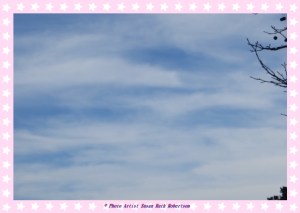 © Photo Artist Susan Ruth Robertson 014