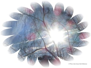 © Photo Artist Susan Ruth Robertson 016