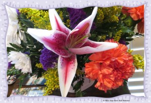© Photo Artist Susan Ruth Robertson 018