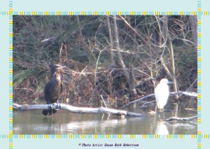 © Photo Artist Susan Ruth Robertson 020