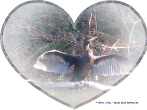 © Photo Artist Susan Ruth Robertson 021