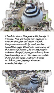 © Photo Artist Susan Ruth Robertson 024 - Copy