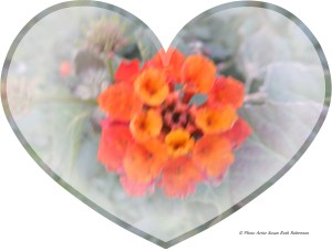 © Photo Artist Susan Ruth Robertson 024