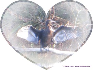 © Photo Artist Susan Ruth Robertson 024