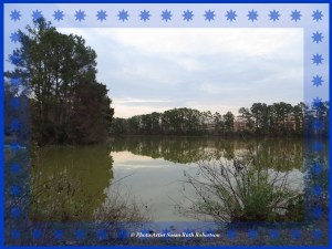 © Photo Artist Susan Ruth Robertson 031
