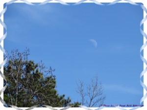 © Photo Artist Susan Ruth Robertson 032