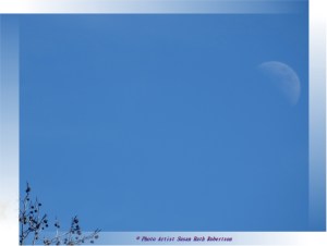 © Photo Artist Susan Ruth Robertson 033