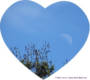 © Photo Artist Susan Ruth Robertson 034