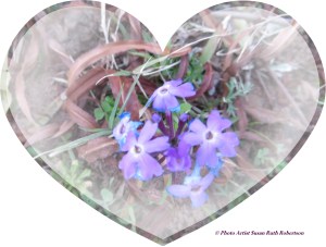 © Photo Artist Susan Ruth Robertson 035