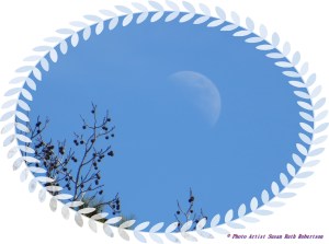 © Photo Artist Susan Ruth Robertson 035