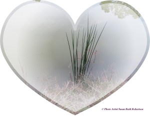 © Photo Artist Susan Ruth Robertson 036