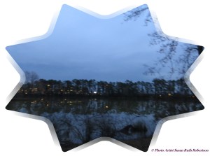 © Photo Artist Susan Ruth Robertson 037
