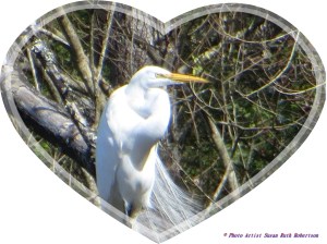 © Photo Artist Susan Ruth Robertson 038